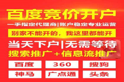 专业sem托管服务案例，揭秘广告投放优化策略